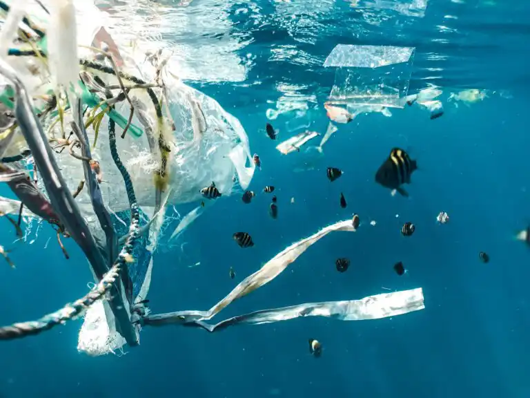 Plastik verursacht Klimawandel